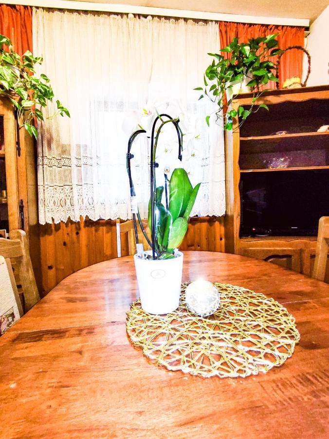 Apartmani Ankica Crikvenica Dış mekan fotoğraf